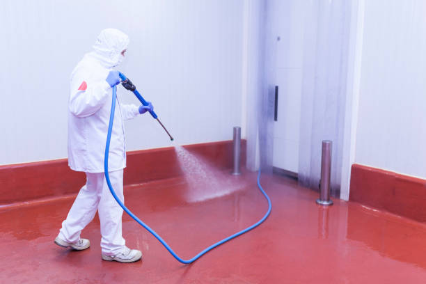 Best Paint Preparation  in Lynden, WA