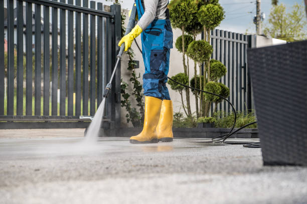Professional Pressure Washing in Lynden, WA